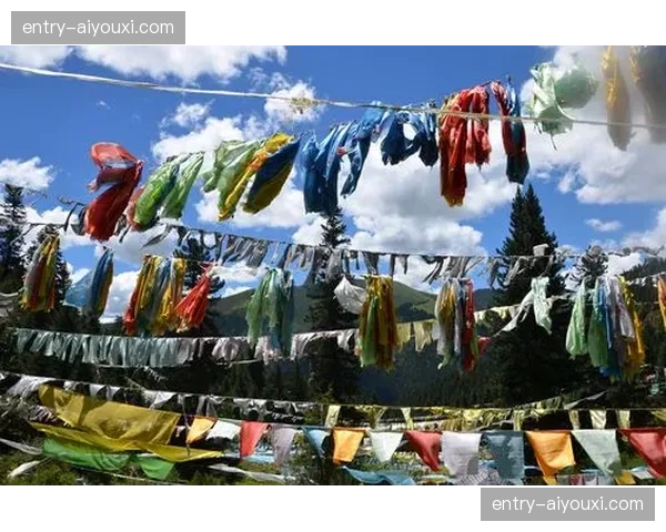 元数据同步分发系统升级 球员实时统计画面瞬间刷新