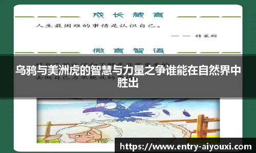 爱游戏体育