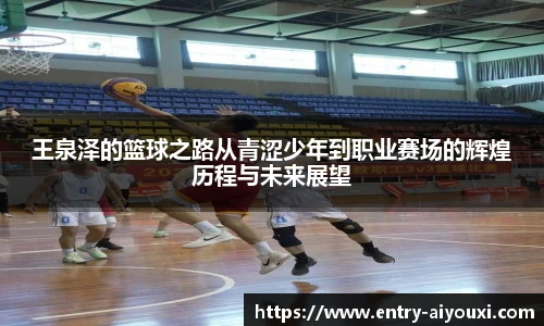 爱游戏AYX